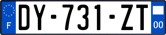 DY-731-ZT