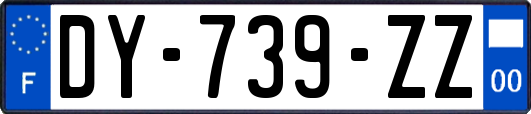 DY-739-ZZ