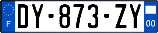 DY-873-ZY