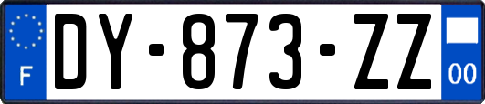DY-873-ZZ