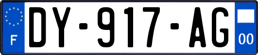 DY-917-AG