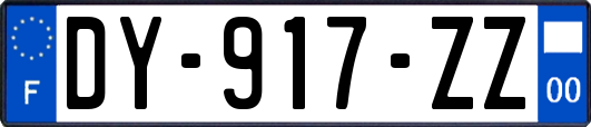 DY-917-ZZ