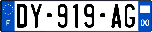 DY-919-AG