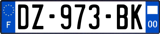DZ-973-BK