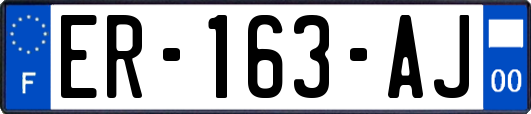 ER-163-AJ