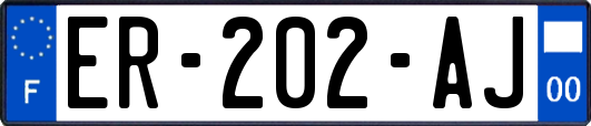 ER-202-AJ