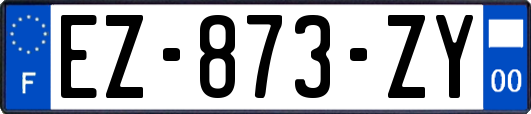 EZ-873-ZY