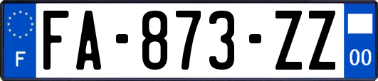 FA-873-ZZ