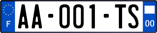 AA-001-TS