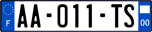 AA-011-TS