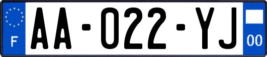 AA-022-YJ