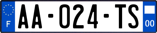 AA-024-TS