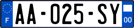 AA-025-SY