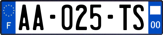 AA-025-TS