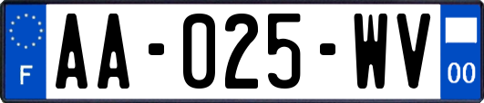 AA-025-WV