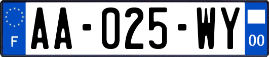 AA-025-WY