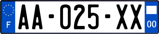 AA-025-XX