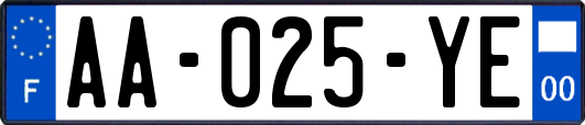 AA-025-YE