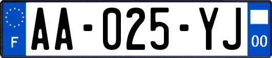 AA-025-YJ