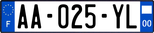 AA-025-YL