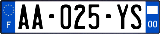 AA-025-YS