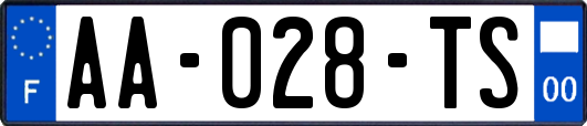 AA-028-TS