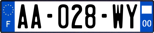 AA-028-WY