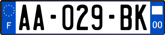 AA-029-BK