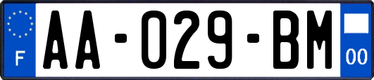 AA-029-BM