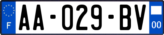 AA-029-BV