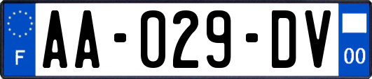 AA-029-DV