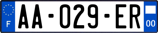 AA-029-ER