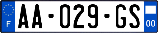 AA-029-GS