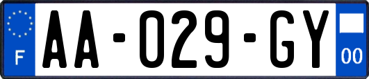 AA-029-GY