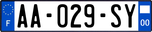 AA-029-SY