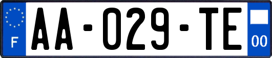 AA-029-TE