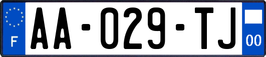 AA-029-TJ