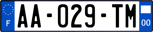 AA-029-TM