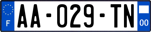 AA-029-TN