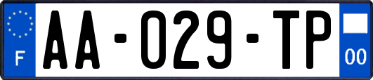 AA-029-TP