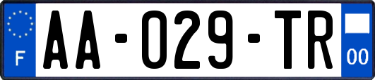 AA-029-TR