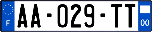 AA-029-TT