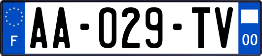 AA-029-TV