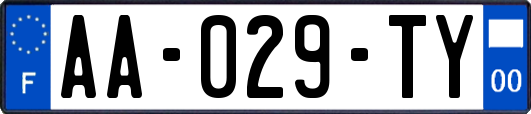 AA-029-TY