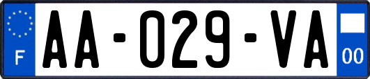 AA-029-VA