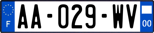 AA-029-WV