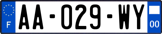 AA-029-WY