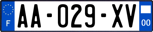 AA-029-XV