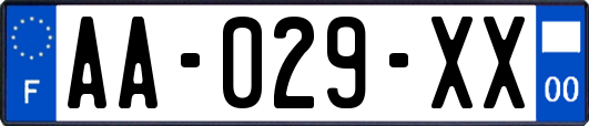 AA-029-XX