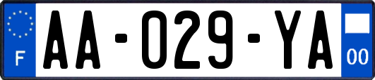 AA-029-YA